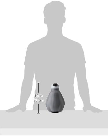 Fallen Fruits TG259 Watering Can Penguin, Black