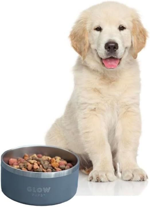 Dog Bowl - Vacuum Insulated Keeps Water Cool, Non-Slip Base, Easy Clean Interior, Durable Stainless Steel, Multiple Colors, Ideal for Travel, 32 Oz - Pet Bowl (Gray)