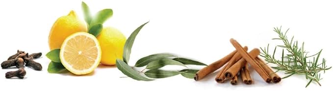 Naeterra Aromatherapy Cleaning Concentrate 16 oz Natural Multi-Surface Cleaner, Plant-Based and Biodegradable, Makes 6 Gallons, Cleaning Essential Oil Formula, Safe for Families and Pets