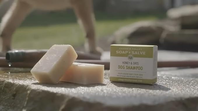 Chagrin Valley Soap & Salve Certified Organic Dog Shampoo and Conditioner – Puppy Shampoo Itchy Skin Relief and Puppy Essentials - Natural Handmade Honey & Oats, 3.8 oz Bar Soap