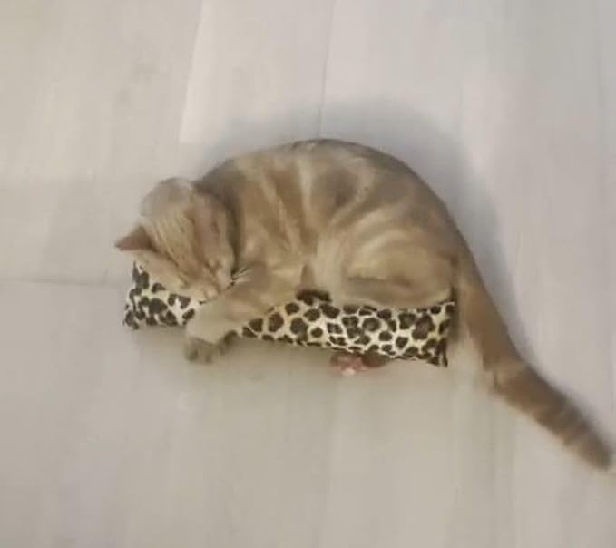 15" Catnip Cat Kicker Toys/Kitty Kick Sticks/Cat-Nip Kick Sticks (Leopard Print) (Kickers Filled with 1 oz Premium Canadian Catnip)