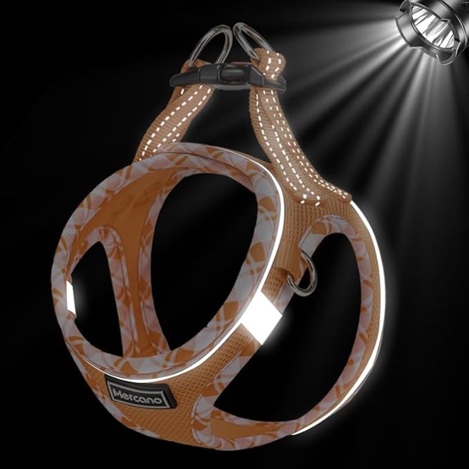 Mercano Soft Mesh Dog Harness and Leash Set, No-Chock Step-in Reflective Breathable Lightweight Easy Walk Vest Harnesses with Safety Buckle for Small Dogs, Cats (Orange, XXS)