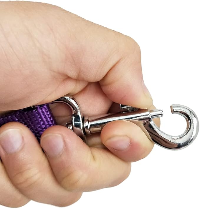 Nylon Dog Training Leash, Traction Rope, 4Ft /5 Foot /6 Feet Long, 5/8 inch 3/4 Inch 1 Inch Wide, for Small and Medium Dogs (5/8'' x 6 FT, Purple)