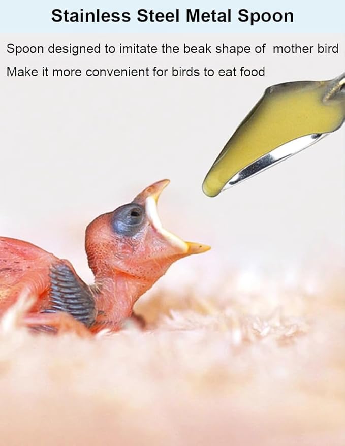 5 PCS Baby Bird Feeding Syringe for Baby Birds Parrot Hand Feeding Syringe Pet, Parrot Feeder Food Syringe, Feeding Tube Bird Feeding & Watering Supplies