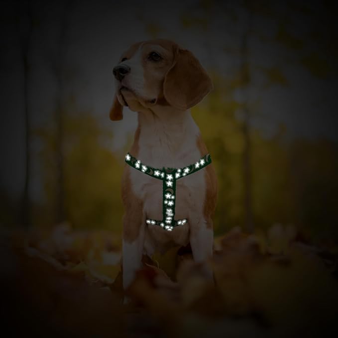 PUPTECK No Pull Dog Harness Soft Adjustable Basic Nylon Step in Puppy Vest Outdoor Walking with ID Tag, Moon Star Green, S