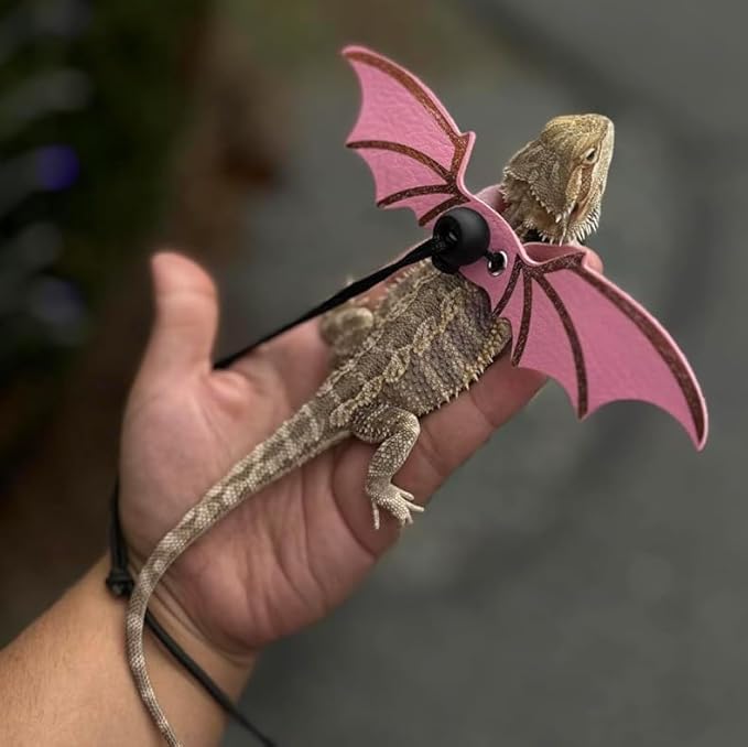 Adjustable Lizard Harness and Leash Set with Wings 3 Pack S M L Soft Leather Reptile Costume Accessories for Bearded Dragon Chameleon Guinea Pig Small Animals Black
