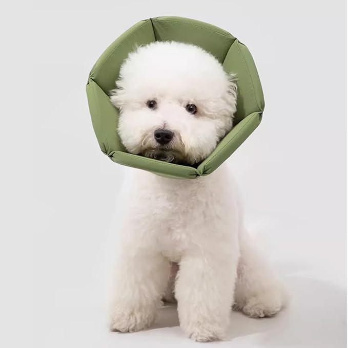 Cat Cone Collar - Soft Waterproof Elizabethan for Cats, Cute Green Flower Anti-Lick Recovery Collar, Adjustable Healing Collar for Wound Care & Surgery,M