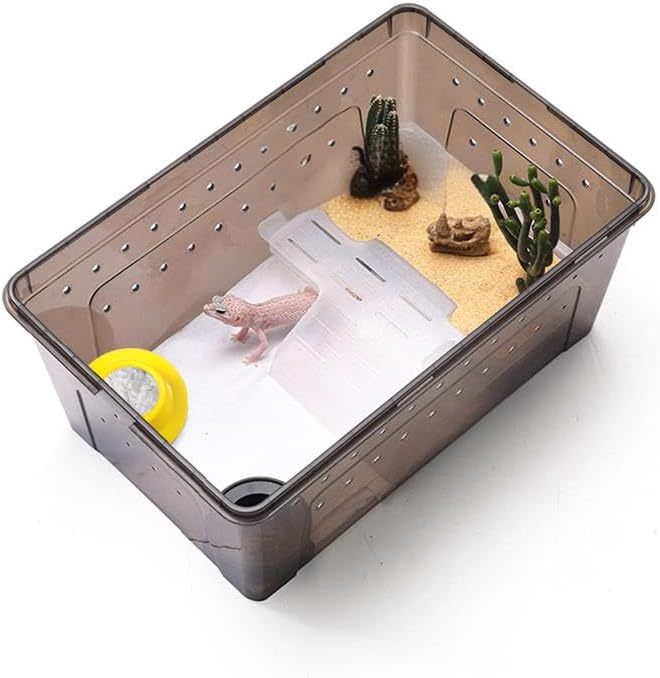 2 Pcs Color Gecko Calcium Dish,Lizard Gecko Bearded Dragon Chameleon Water Feeding Bowl,Small Reptile Food Dish,Reptile Terrarium Tank Accessories(Green+Yellow)