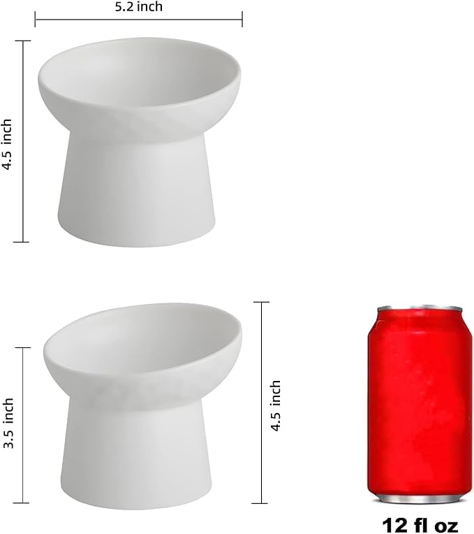 Ceramic Raised Cat Bowls, Elevated Tilted Cat Food and Water Bowls Set, Porcelain Stress Free Pet Feeder Dish for Cats and Small Dogs, Dishwasher and Microwave Safe, Set of 2(White)