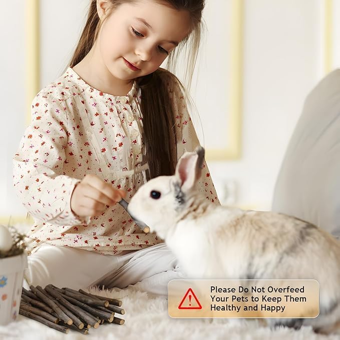 1000g Organic Apple Sticks Small Animals Molar Wood Treats Toys for Chinchillas Guinea Pig Rabbits Hamster Gerbil Parrot Bunny Chew Stick Toys, 35.3 OZ