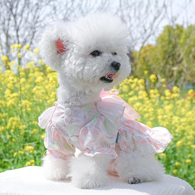 Pink Dog Dress for Small Dog Girl Spring Puppy Clothes with Bow Puff Sleeves Cat Outfit Doggy Princess with Leash Ring Doggies Harness Dress Summer Pet Apparel (Pink, X-Small)