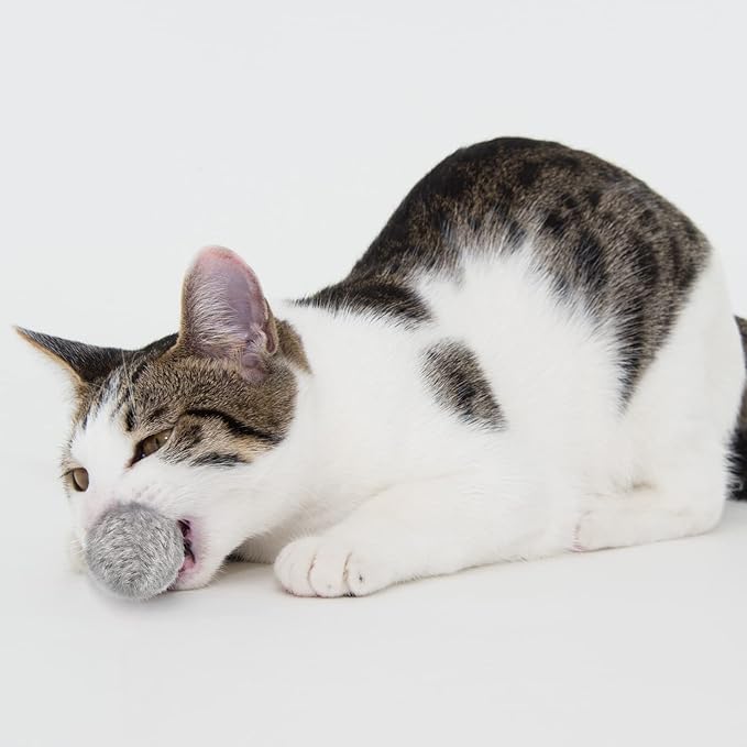 LEIFIDE 12 Pieces Real Rabbit Fur Pom Pom Kitty Cat Toy Fluffy Cat Balls Soft Fuzzy Balls for Kitty Pets Kitten Chase Quiet Play, 3 Inches in Diameter(Gray, Coffee, White)