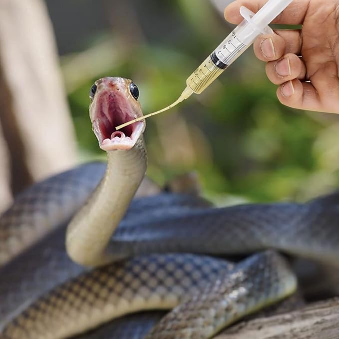 Balacoo 1 Set Pet Parrot Milk Feeding Syringe with Tubes Baby Pigeon Turtle-Dove Feeding Syringe Puppy Medicine Feeder Tablet Medical Feeding Tool for Small Animals