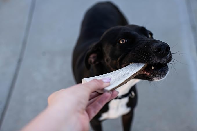 hotspot pets Premium Split Elk Antlers for Dogs - 7 Inch Large Dog Chews (2 Pack) Made in USA -Naturally Shed Antler Bone for Large Breed Aggressive Chewers -Promotes Natural Dental Hygiene