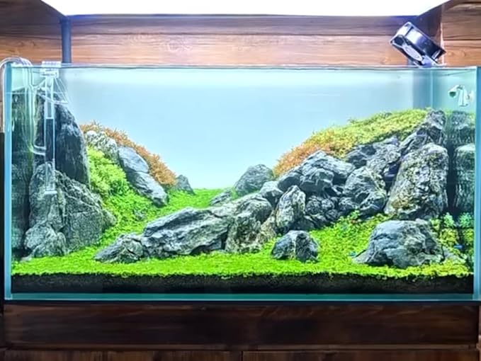 Natural Rocks Seiryu Stones Aquariums Stones for Aquascaping, Aquariums, Terrariums, Vivariums Decorative Stone,Reptile Enclosures,Paludariums,and Gardens-10LB(2 to 7 inch)