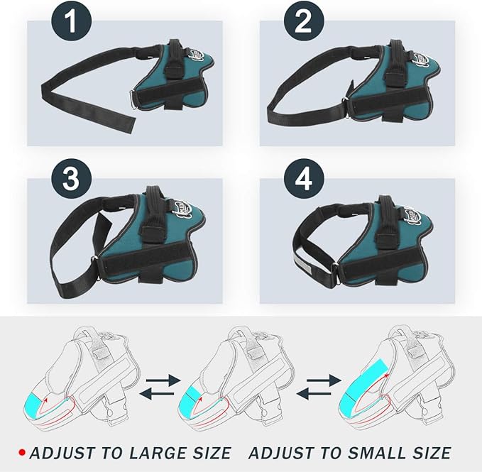 Bolux Dog Harness, No-Pull Reflective Dog Vest, Breathable Adjustable Pet Harness with Handle for Outdoor Walking - No More Pulling, Tugging or Choking (Turquoise, M)