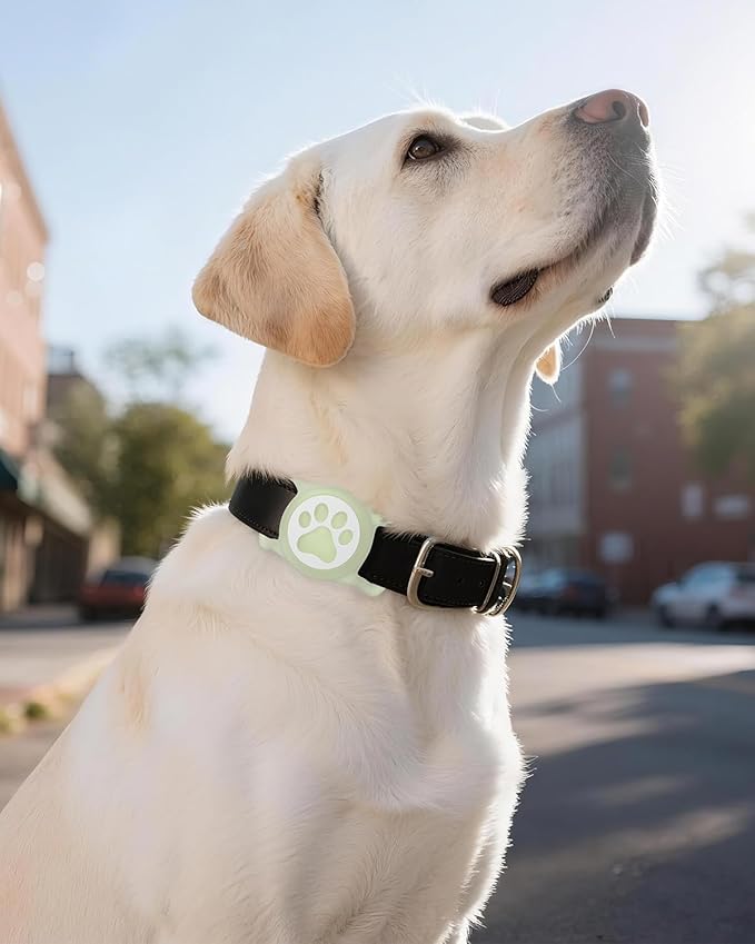 IP68 Waterpoof Dog Airtag Holder, Stretchy Silicone Full Body Covered Apple Air Tag Holder for Dog Cat Collar Fit All Width Collar (Luminous, 1 Pack)