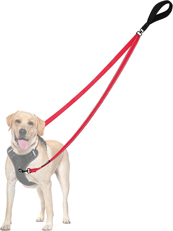 PetBonus Two Point Control Dog Leash, Works with No Pull Harnesses, No Tangle Dog Training Leashes, No Pull Padded and Reflective Walking Lead,Converts to Single Leash for Medium Large Dogs (Red)
