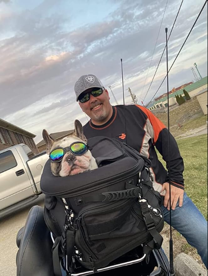 Goldfire Motorcycle Dog/Cat Carrier, Portable Pet Carrier Voyagers Dog Carrier Crate for Street Glide Road King with Luggage Rack or Sissy Bar UTV ATV Touring Trike Models(Black)