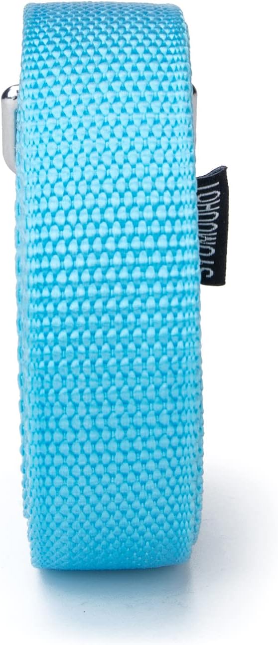 Strong Durable Nylon Dog Training Leash, 1 Inch Wide Traction Rope, 6 ft Long, for Small and Medium Dog (Mint Blue, 6 Feet)