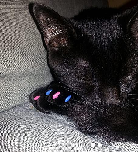 40 Pack Soft Nail Caps for Cat Claws Pink Glitter Kitten