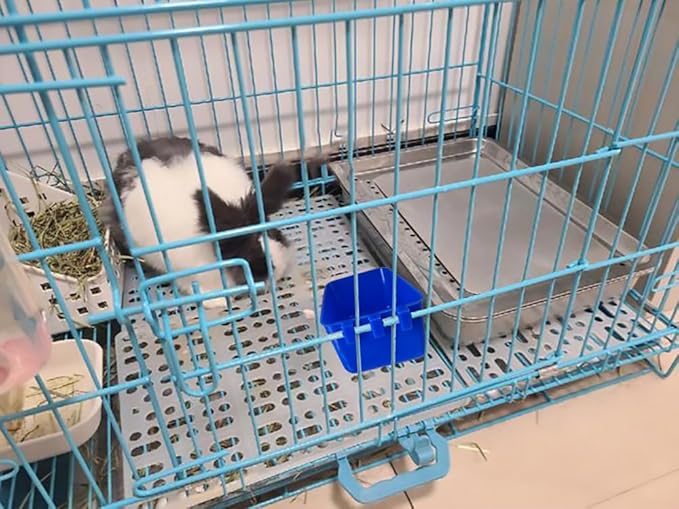 Pack of 10 Cage Cups Birds Feeders Seed Bowl Chicken Feeding Watering Dish Rabbit Water Food Hanging Wire Cages Box 16 oz Coop Cups for Pet Parrot Parakeet Game Fowl Poultry Pigeon