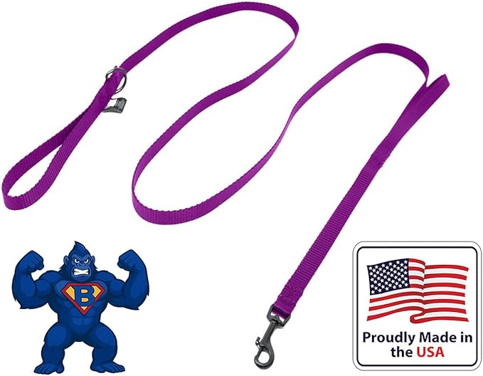 Dog Leash for Teacup Toy Minature and Small Dogs Primary & Traffic Handle The Bulk Multiple Sizes & Colors 5/8” Width Nylon Proudly Made in The USA (Purple, 6 Foot)