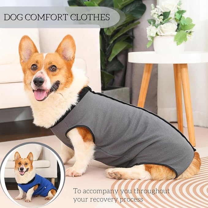 Dog Surgery Recovery Suit,Abdominal Surgical Suit for Dogs,Recovery Suit for Dogs,Prevent Licking Surgical Wound Dog Cone Alternative Grey S