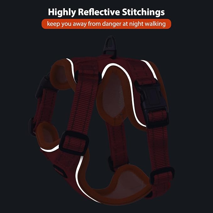 Rttochfy Cat Harness and Leash Set, Adjustable and Reflective Cat Vest, Escape Proof Kitten Harness, Easy to Put on with 3 Buckles for Cats Walking and Traveling (Orange, L)