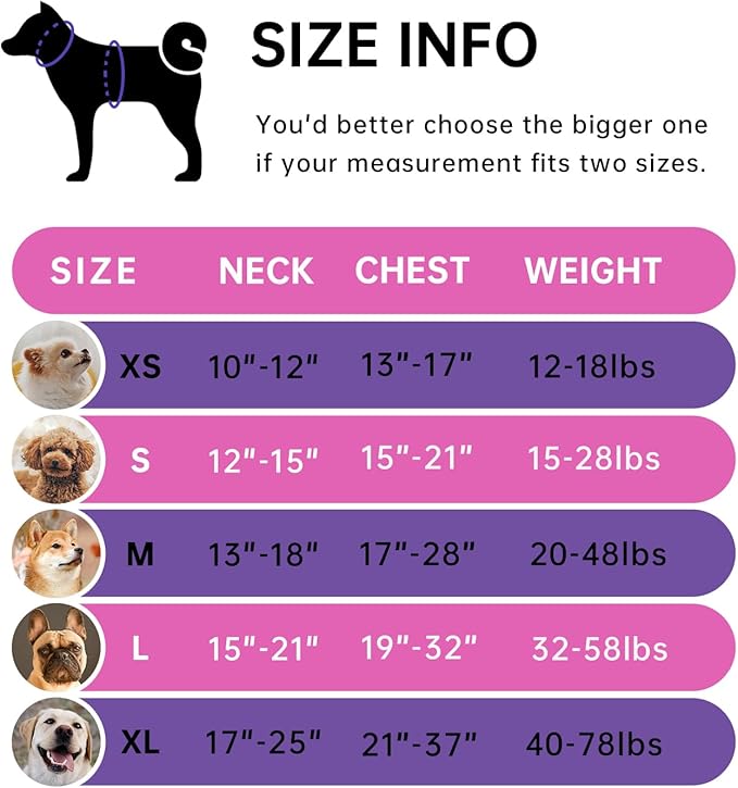 IVY&LANE No Pull Dog Harness for Small Dogs, Dog Vest Harness with Leash, Safety Belt and Storage Strap, Fully Adjustable Harness, 360° Reflective Strip, Soft Handle (Fuchsia Pink,S)