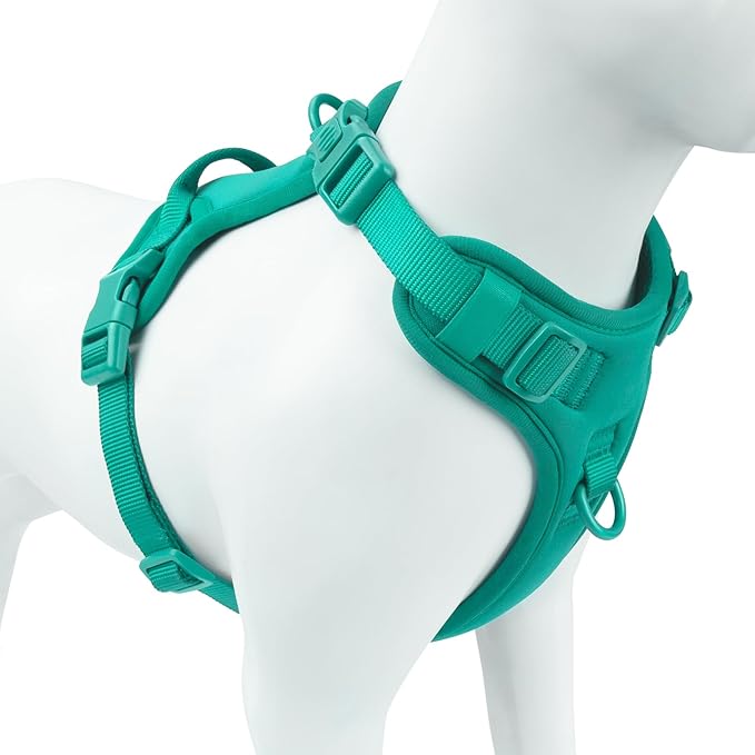 No Pull Dog Harness, Puppy Vest with Front Clip for Small Medium Large Sized Dog(MARRS Green,L)