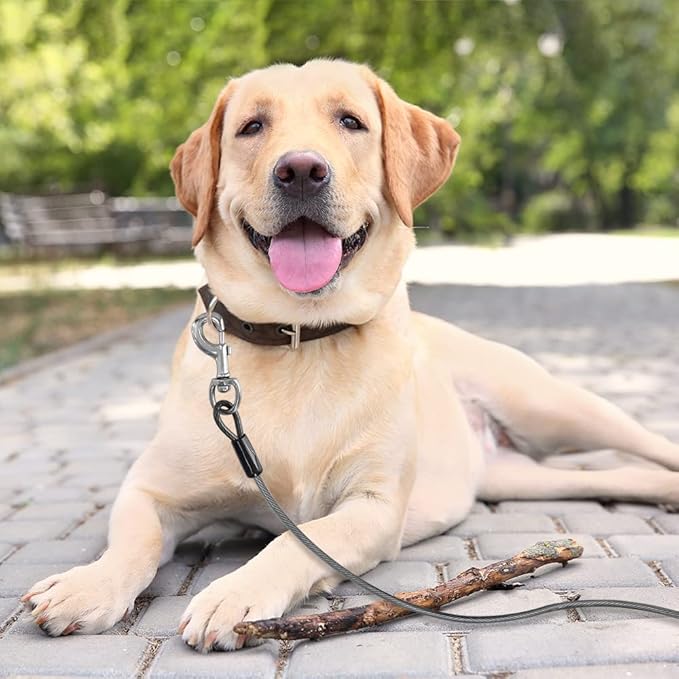 BV Dog Tie Out Cable 25 Feet - Heavy Duty Dog Lead Up to 250 Pounds - Reflective & Rust-Free with Quick Release Swivel Clips & 360° Rotating Clasp - Tangle-Free Dogs Runner for Yard (Grey, Pair)