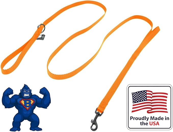 Dog Leash for Teacup Toy Minature and Small Dogs Primary & Traffic Handle The Bulk Multiple Sizes & Colors 5/8” Width Nylon Proudly Made in The USA (Hot Orange, 8 Foot)