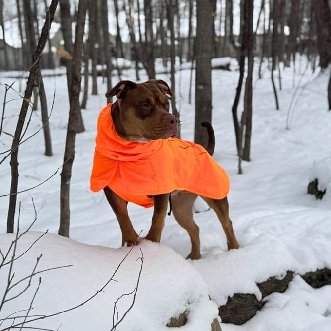 Spark Paws Dog Raincoat, Waterproof Windproof Rain Jacket, for Small Medium Large Extra Large Dogs, Reflective Breathable Full-Body Coverage Dry Suit - Orange - XL