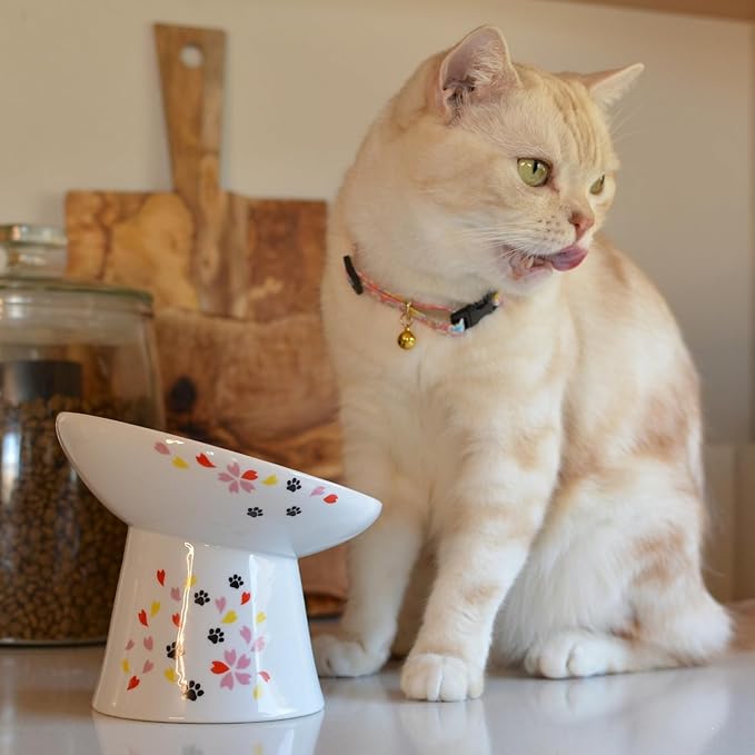 Necoichi Extra Wide Raised Cat Food Bowl, Elevated Cat Bowls to Prevent Neck & Whisker Fatigue, Dishwasher and Microwave Safe, No.1 Seller in Japan! (Sakura Limited Edition, Extra Wide Tilted)