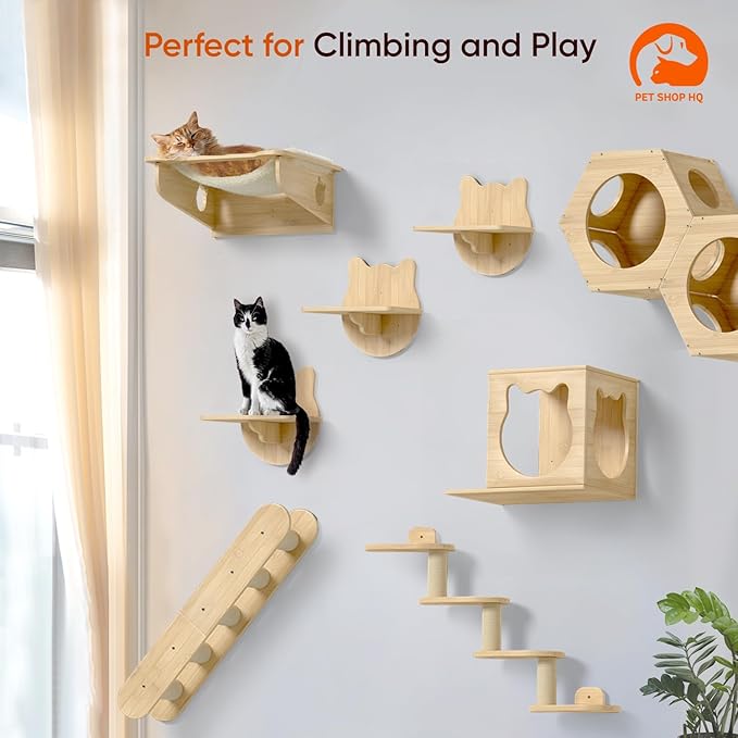 Wall-Mounted Cat Furniture for Climbing - Indoor Wooden Floating Shelves, Perches, Hammock, Bed, Bridges, Walkways - Different Models