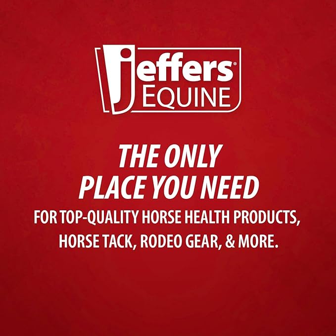 Jeffers Expression Protective Horse Boots 1 Pair, Party Cheetah, Large - Safe Neoprene Leg Guards, Comfortable Fit, Durable Strap Closures, Front & Hind Support, Accessories for Travel & Riding