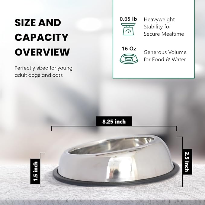 ICONIC PET 2 Cup/16 Oz Heavy Weight Non-Skid Stainless Steel High Back Pet Food/Water Bowls with Removable Anti Skid Rubber Ring - Dog/Cat Feeding Bowl in Unique Design, Dishwasher Safe