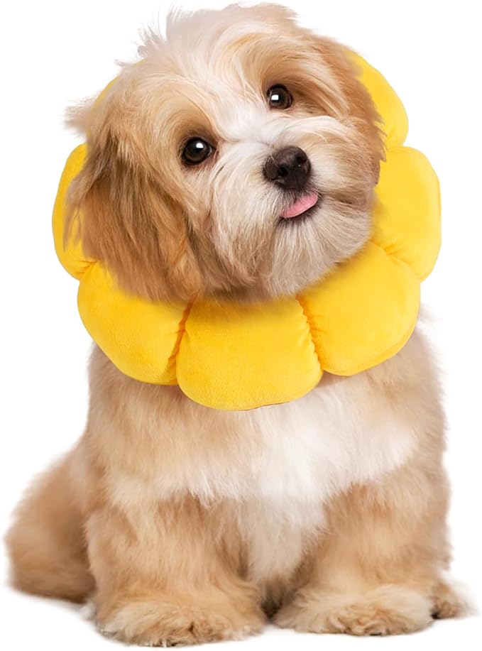 HOMBYS Soft Dog Cone for Dogs and Cats, Cute & Fluffy Flower Shape for Claming, Adjustable Dog Collar Alternative After Surgery, Protective Elizabethan Collar for Dogs Recovery & Stop Licking, L
