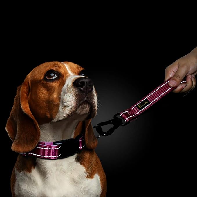 PLUTUS PET 10 Inch Short Dog Leash for Large Dogs with Locking Carabiner Clip & Padded Handle (10”, Pink)