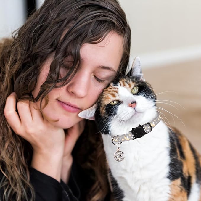 2Pcs Breakaway Cats Collars Cat Collars for Boy & Girl Cats Adjustable Kitten Collars with Bell,Black+Gray