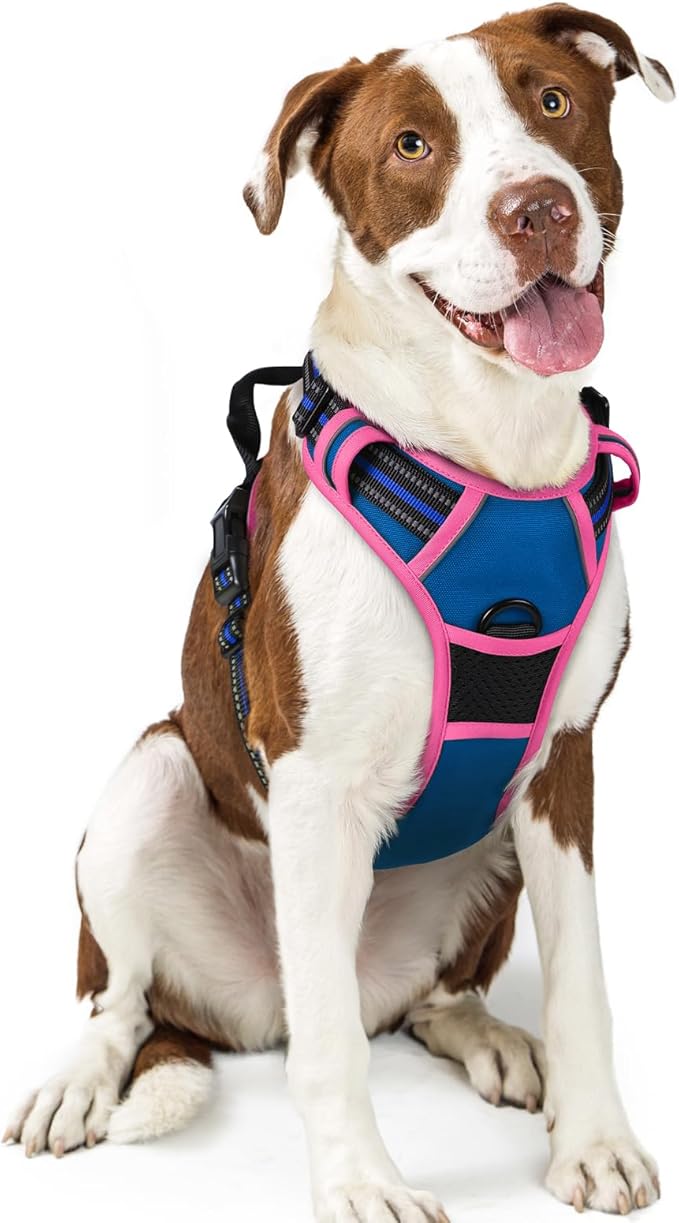 rabbitgoo Dog Harness No Pull with 2 Leash Clips, Adjustable Soft Padded, Reflective Oxford No Choke Pet Vest with Easy Control Handle for Large Dogs, Blue & Hot Pink, L