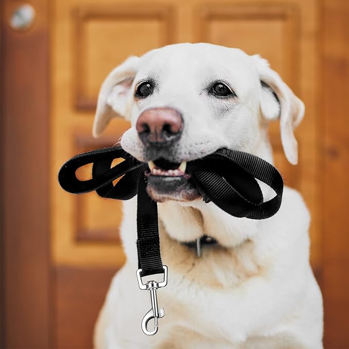 Hillban 36 Pcs Dog Leash Bulk 5 ft Multicolored Puppy Training Leash Slip Pet Traction Nylon Rope for Small Medium Dogs Agility, Yard, Camping, Backyard Play(6 Colors)