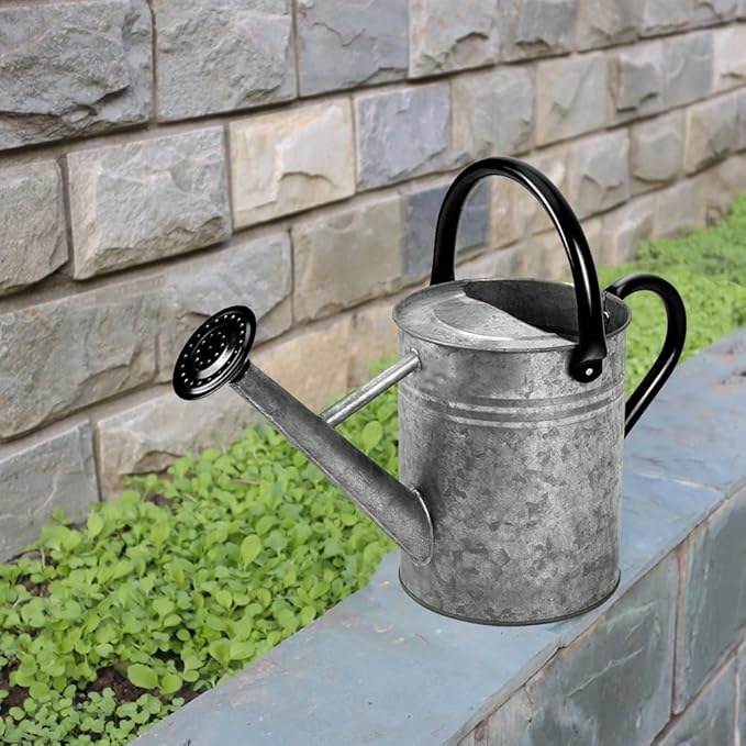 Metal Watering Can, One Gallon Watering Cans Stainless Steel for Outdoor Indoor Garden Plants Watering (Silver 1 Gallon)