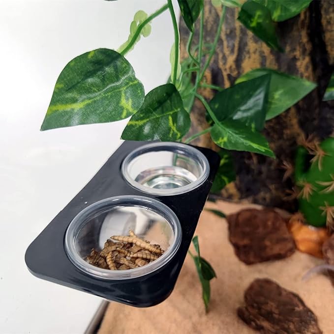 1oz Crested Gecko Food Cups, 100Pcs Reptile Plastic Feeding Dish
