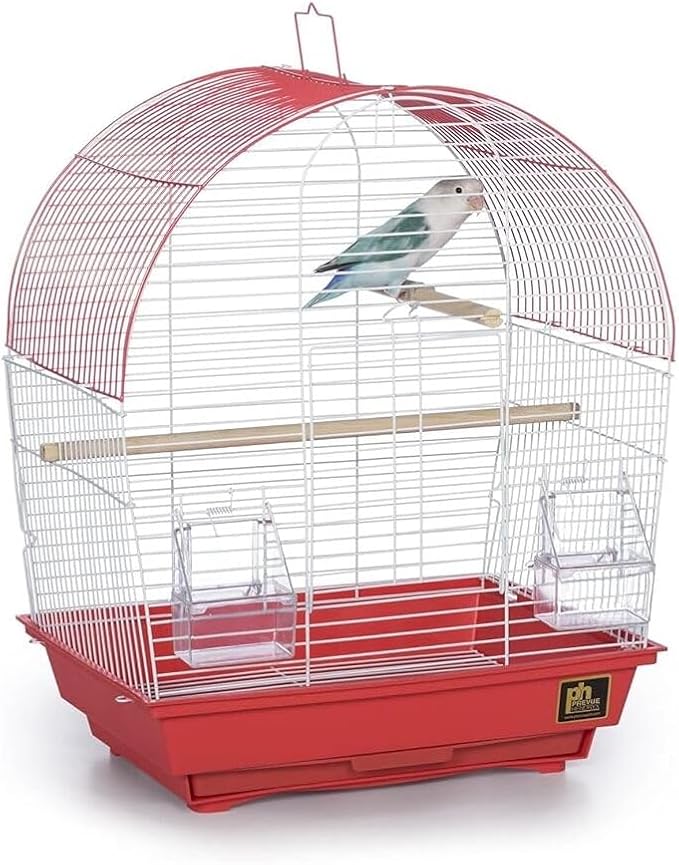 Rustic Retreat Top Bird Cage with Durable Metal Construction, Spacious Interior, and Convenient Top Access Coral/Dome Top