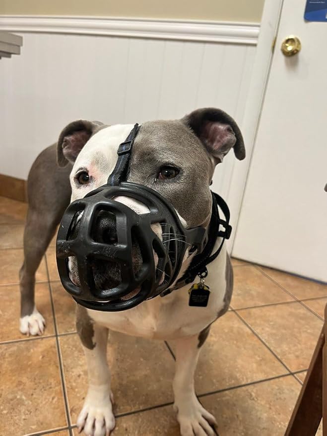 Mayerzon Dog Muzzle, Breathable Basket Muzzles for Small, Medium, Large and X-Large Aggressive Dogs Beagle German Shepherd Doberman, Cage Mouth Guard Stop Biting Chewing for Grooming Training