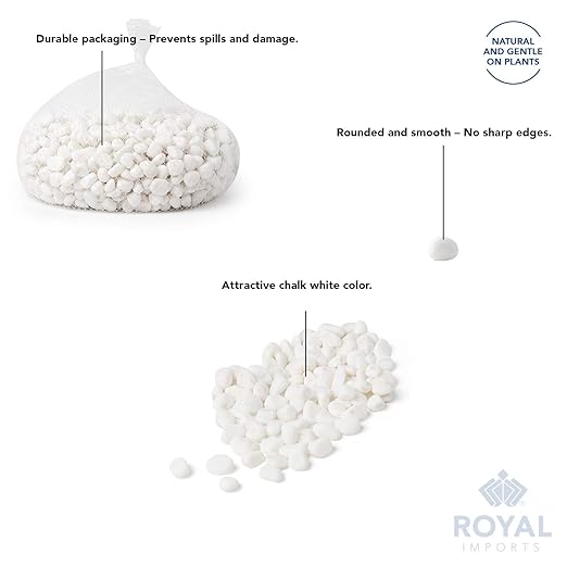 Royal Imports 5LB Decorative Stones River Pebbles Painting Rocks for Fish Aquariums, Plant Gravel, Landscaping, Home Decor Natural - Small White