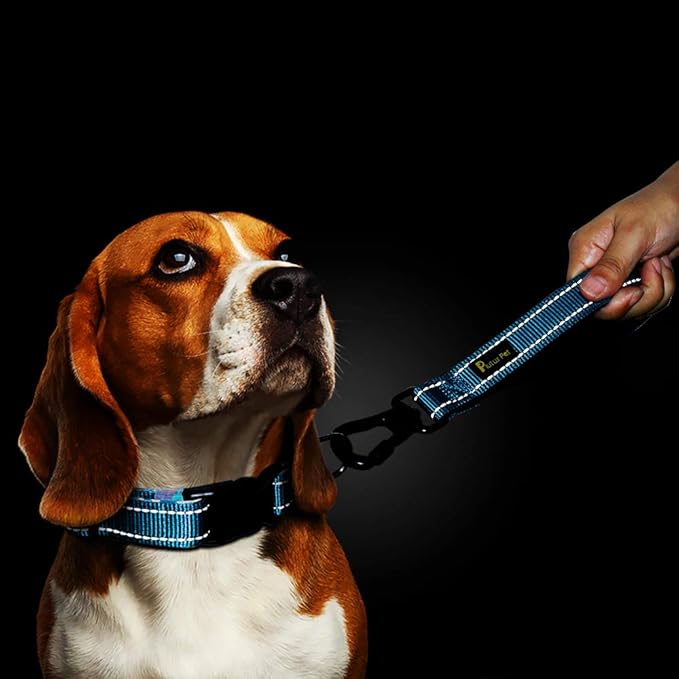 PLUTUS PET 10” Short Dog Leash, Reflective Nylon Padded Handle, Strong Traffic Leash with Carabiner Clip, Perfect for Large or Medium Dogs(10”,Blue