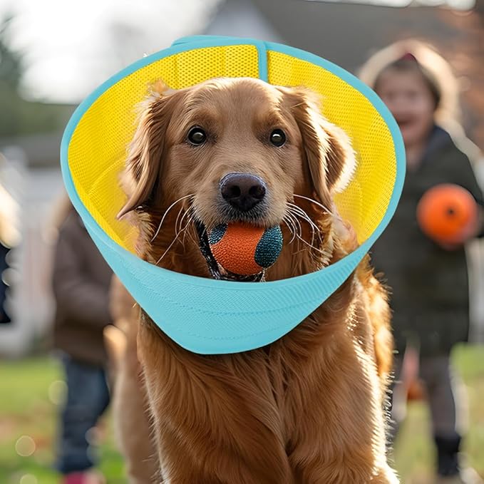 Inspack Soft Dog Cone Collar Alternative, E Cones for Small Dogs/Cat/Puppy to Stop Licking after Surgery, Comfortable All Paws Comfy Elizabethan Collars, Neuter Recovery Ecollars of Shame Alternatives